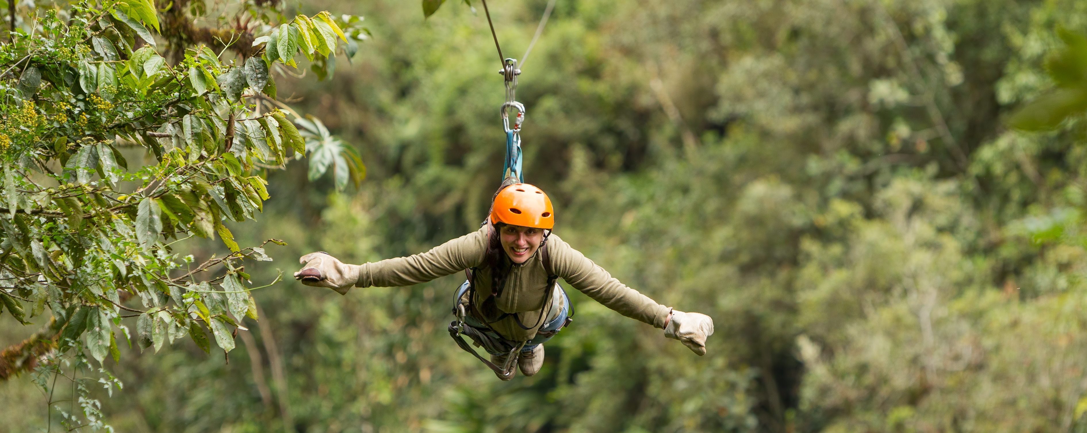 Read more about the article Ziplining with an Ocean View