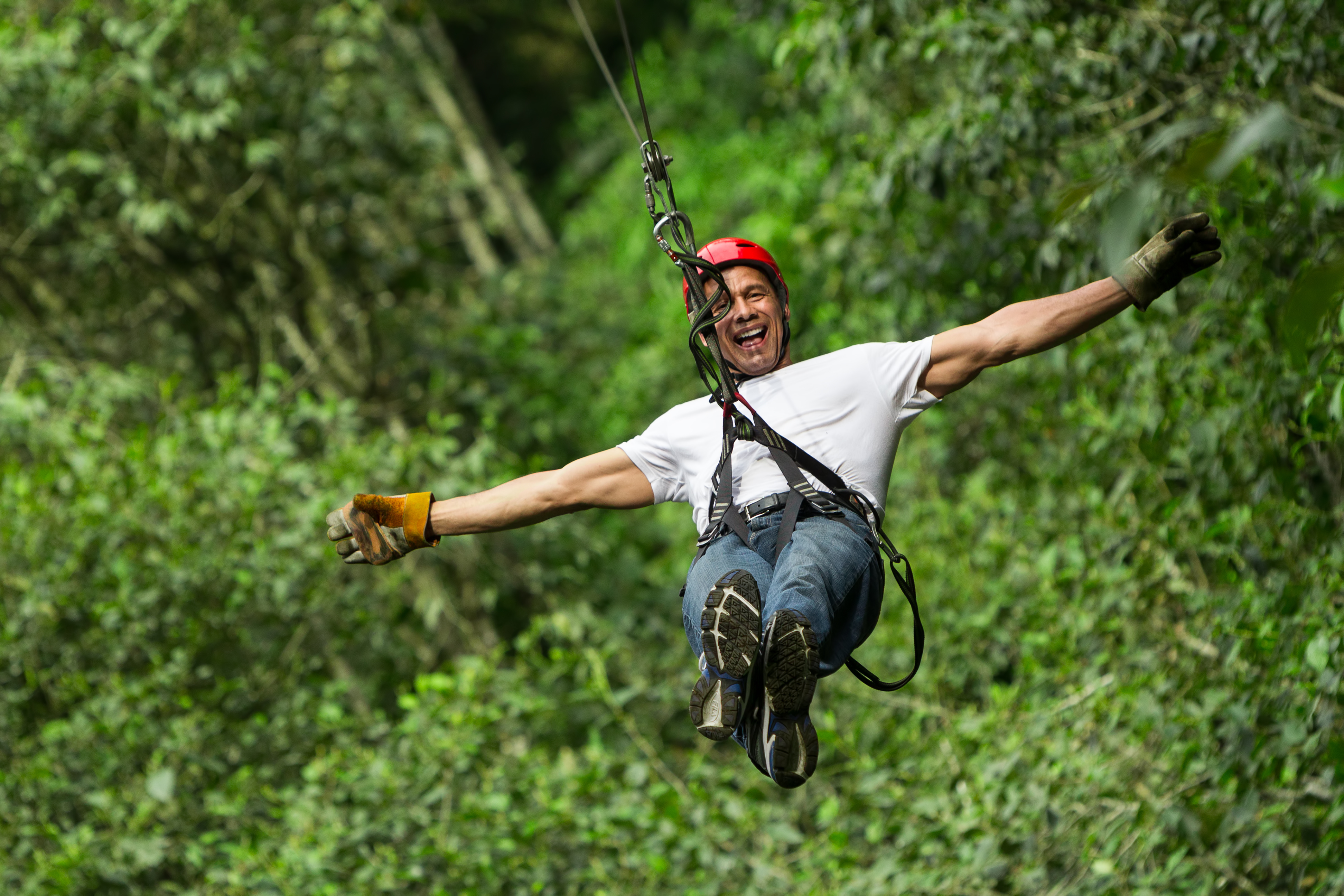 You are currently viewing Six Ziplines, One Grand Adventure