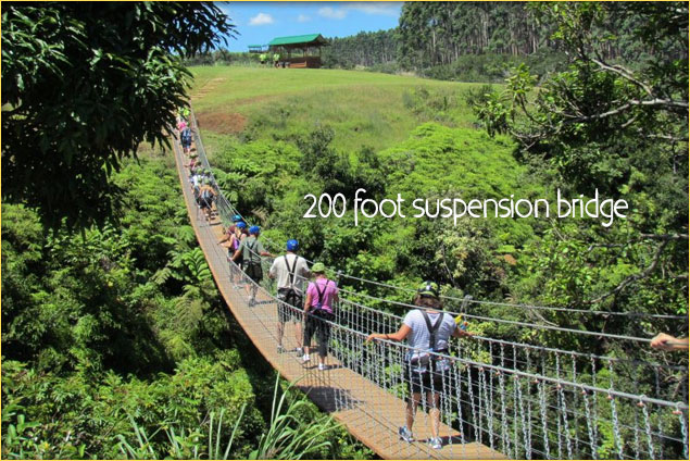 Long suspension bridge spans a gorge on Big Island, Hawaii