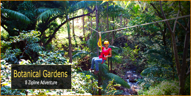 A botanical garden is the backdrop for this tropical zipline 