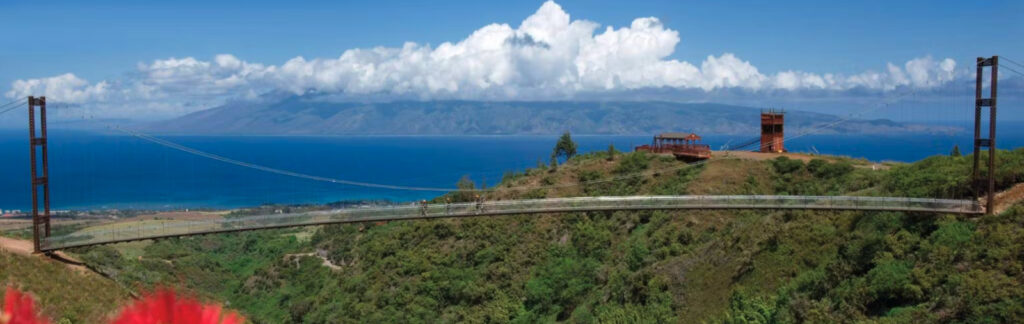The longest suspension bridge in Hawaii spans a valley in the West Maui mountains.