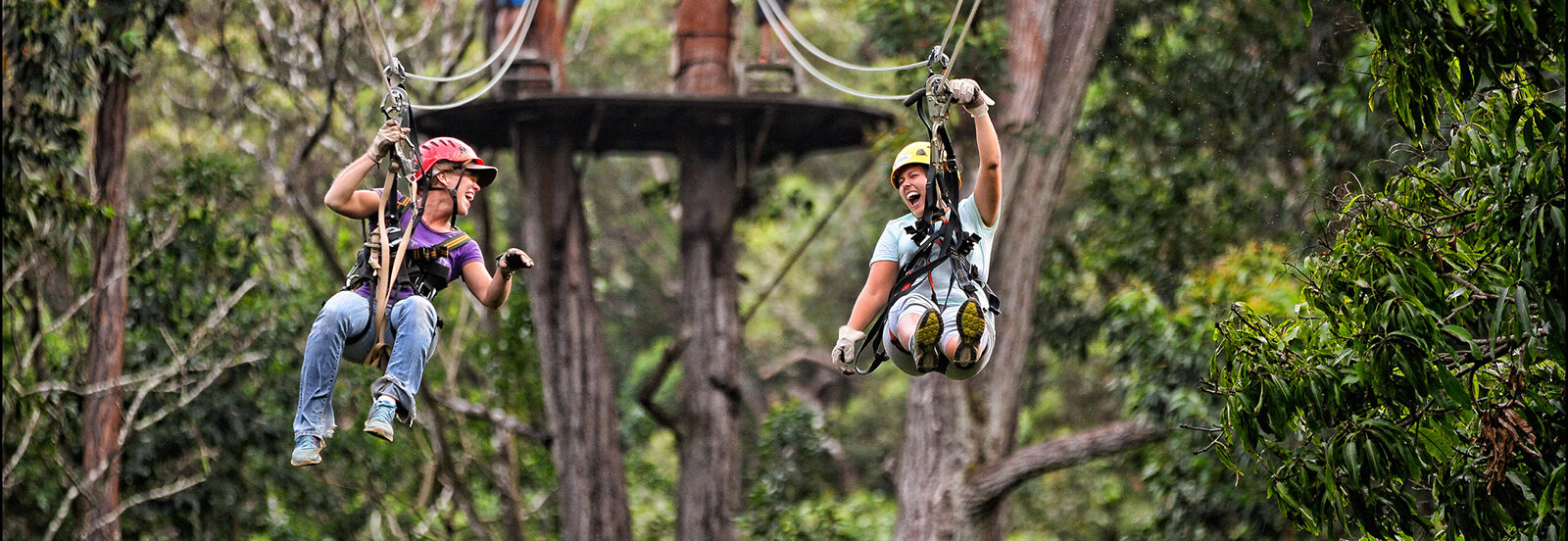 Read more about the article Kohala Zipline Canopy Tour