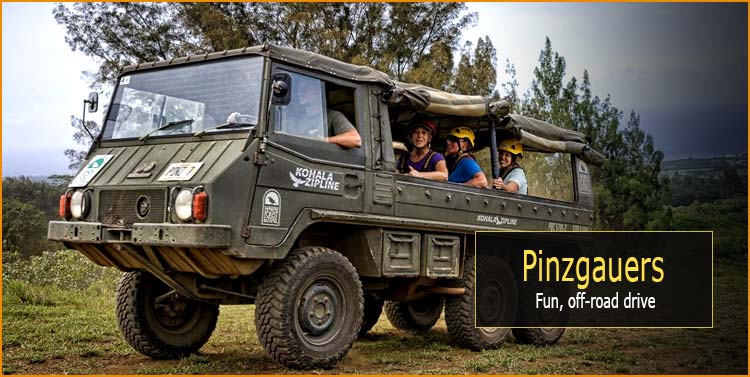 The 6 wheel drive Pinzgauer is an exciting part of Kohala tours