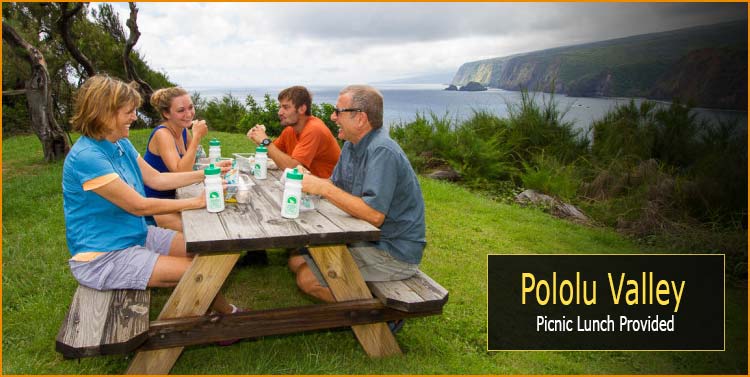A family sits for lunch at the scenic Pololu Lookout